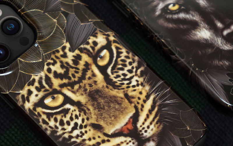 Coques Transfert Thermique